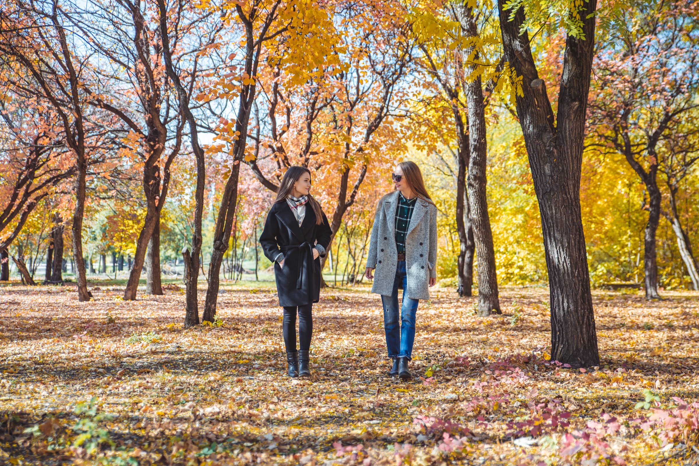 two girlfriends walking by autumn city park talking, Foto: Vera_Petrunina, stock Foto ID: 1182815292